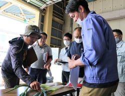 念入りに出荷規格を確認する参加者