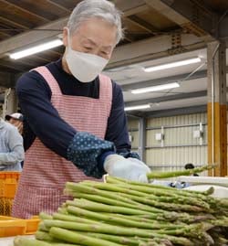 次々と行われる共選作業