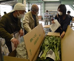 出荷物を参考に荷造り・品質を確認する生産者と営農技術員
