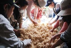 塩麹と大豆を混ぜる作業を行なうみその会部員