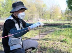 ロープ状の交信かく乱剤を設置する担当者