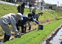 検査員が苗間を確認