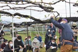 須坂市日滝の圃場にてブドウ栽培について説明をする塩崎副センター長