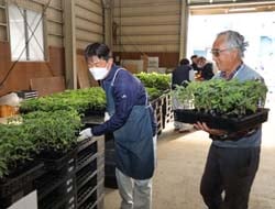 すわこ営農センター集荷所で早朝から行った野菜苗の引き渡し