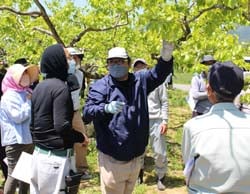 JA職員の説明を真剣に聞く参加者