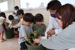 仲良く定植作業を行う親子