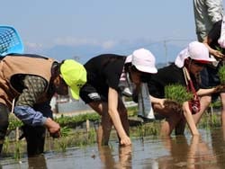 「こんな山辺にするじゃん会」のメンバーに教わりながら田植えをする児童たち
