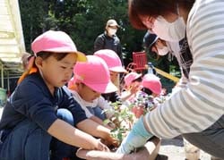 女性部員から指導を受け、真剣に苗を植える園児たち