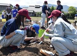 高校生に教わりながら種まきする受講生児童（長野県長野市、5月20日）