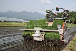 順調に進んだあぐりクリエイト信州諏訪の田植え作業