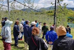 高密植栽培現地検討会