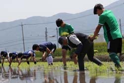 指導を受けながら田植えをする選手たち