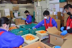 袋詰めを体験する南箕輪中学校の生徒