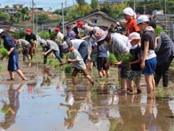 田植えを楽しむ子どもたち
