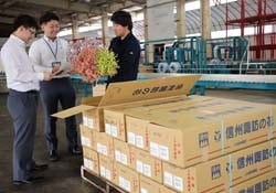 営農センターと支所の職員が連携を図り、施設に花を飾る取組みをスタートさせた