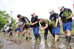 田植えを体験する児童と松本山雅FCの元選手
