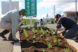 協力して花苗を植える参加者