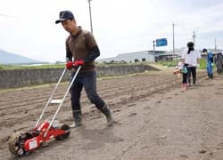 ソルガムを播種し、種まきの跡を足で踏んで鎮圧した職員ら