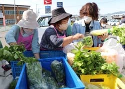 軽ットラ市メンバーと会話を楽しみながら買い物をする買い物客（右）