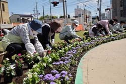 完成イメージをもとに、花を植える参加者