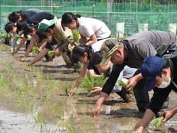 真剣に田植えに挑戦する児童ら