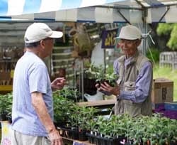 菊苗を手に来場者との交流を図る奥山会長（右）
