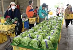 新鮮野菜を買い求める利用者（5月27日、御代田町JA三ツ谷集荷所で）