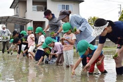 保護者も一緒に楽しく行った田植え