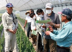栽培管理を学ぶ生産者