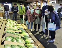 出荷規格を確認する生産者