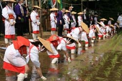 豊作を願って行われた早乙女による上社御田植祭