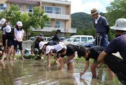 地元青年部員の指導で田植えを行う児童