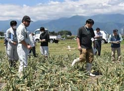 審査基準に沿って審査する審査員ら（安曇野市豊科）