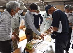 選果基準を確認する生産者