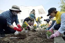 福祉施設の花壇に花苗を植える参加者