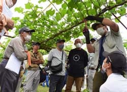 摘粒作業指導を熱心に聞く部会員ら