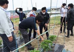 圃場視察をする市場関係者（長野県下伊那郡豊丘村で）