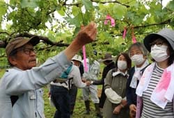 房切りの説明を行う姫野さん（左）