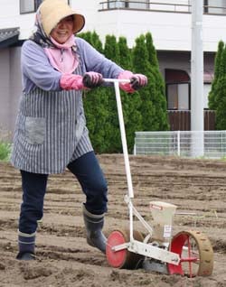 播種機を使い手際よく作業をすすめる部員