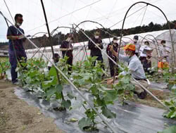 羽鳥さんの指導を受ける生産者ら