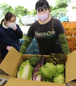 朝採りした野菜を手に取る部会員