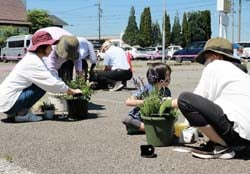 寄せ植えを楽しむ参加者