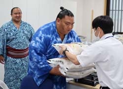 米を受け取る御嶽海関