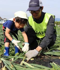 参加者に収穫の方法を指導する小林支部長