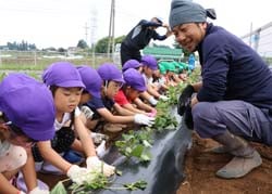 定植の様子を見守る唐沢支部長