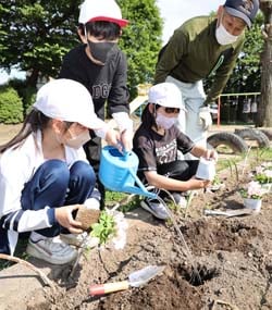 児童が花苗を植え、職員が見守った永明小学校の花育活動