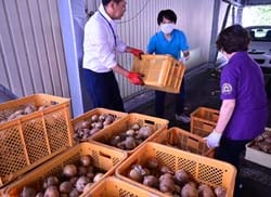 芹田支所でタマネギを受け取る運営団体と常田支所長（左）