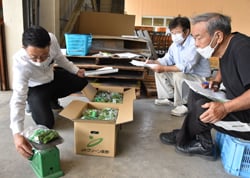 講習会で出荷規格を確認する参加者