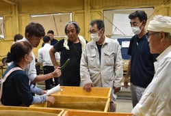 選果基準について情報共有