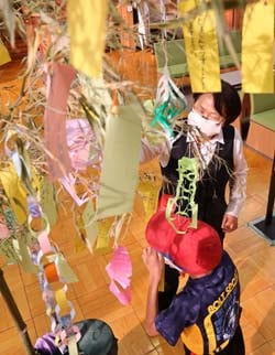 子どもと一緒に笹に短冊を飾る職員